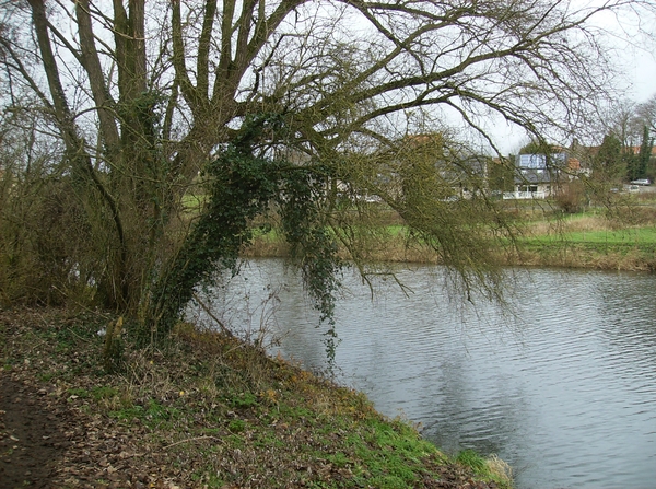 Zingem December 2014 021