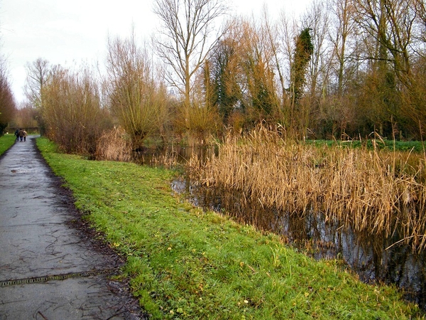 marche oudenaarde aktivia hanske de krijger