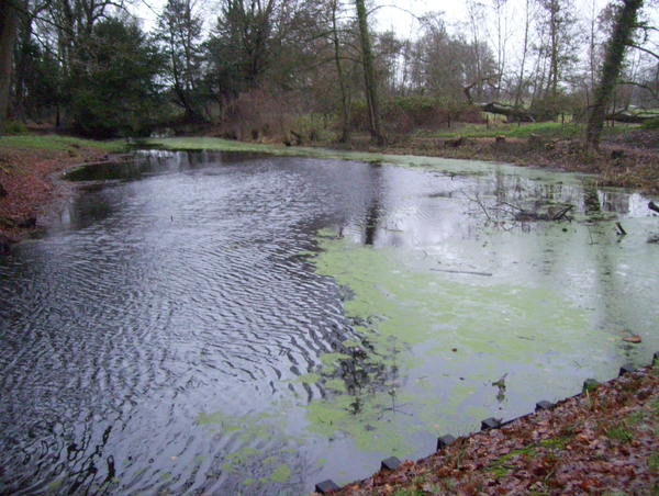 Wandeling in Roosendael naar 