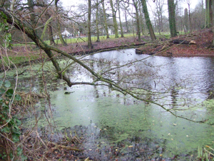 Wandeling in Roosendael naar 