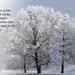 {C67BAA34-8DA4-42CD-9022-E3BB56B93196}