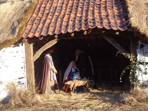 Kerststal op de markt