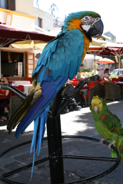 Rhodos de oude stad 23