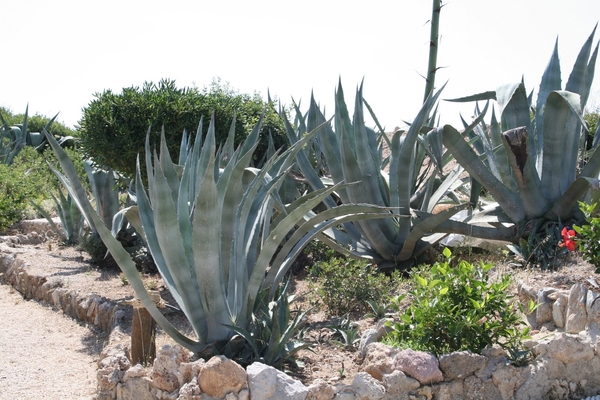 De minerale bronnen Kalithea 1