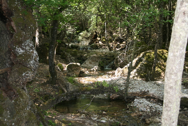 De Vlindervallei van Petoulas 3