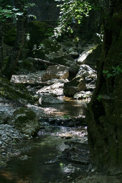 De Vlindervallei van Petoulas 5