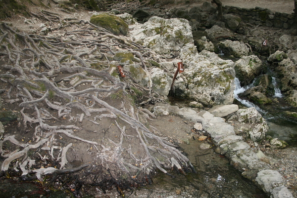 Kolymbia - The Seven Springs 4