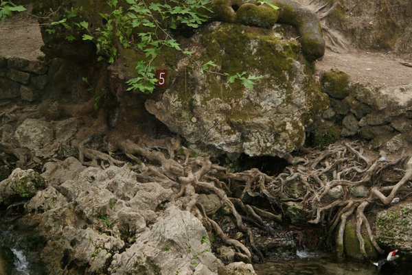 Kolymbia - The Seven Springs 5