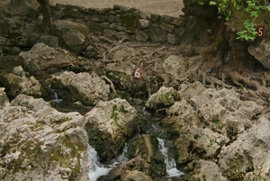 Kolymbia - The Seven Springs 6
