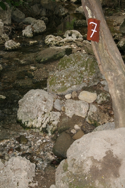 Kolymbia - The Seven Springs 7