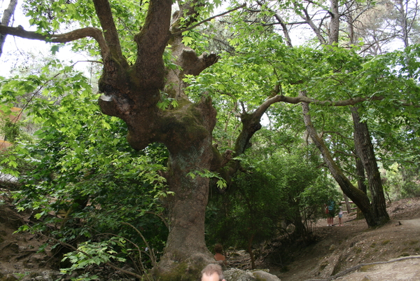 Kolymbia - The Seven Springs 8