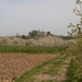 P4273436