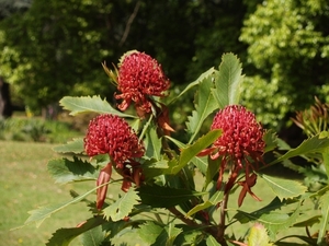 P5090805