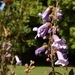 P5090804