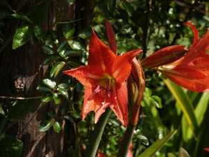 P5090818