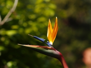 P5090821