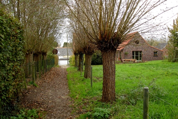 Meldert Kokerij Halloweenwandeling 2014