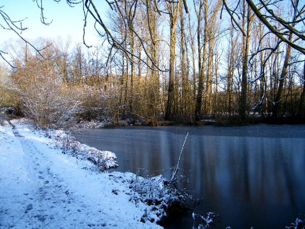 denderleeuw wellemeersen