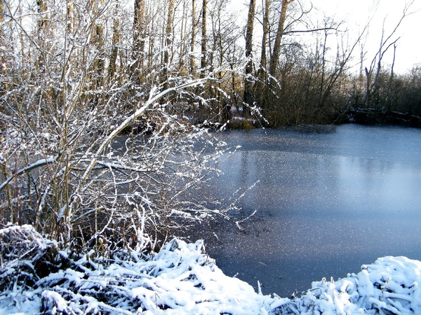 denderleeuw wellemeersen