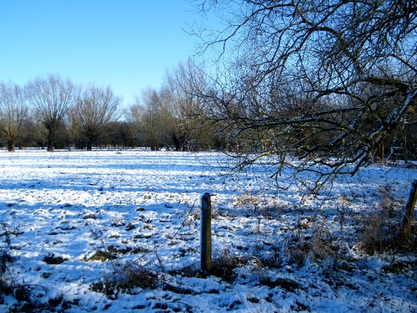 denderleeuw wellemeersen