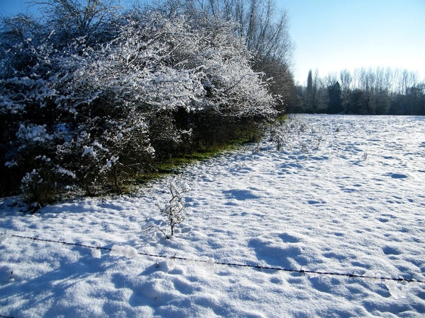 denderleeuw wellemeersen