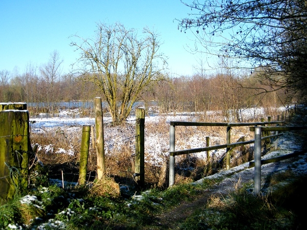 denderleeuw wellemeersen