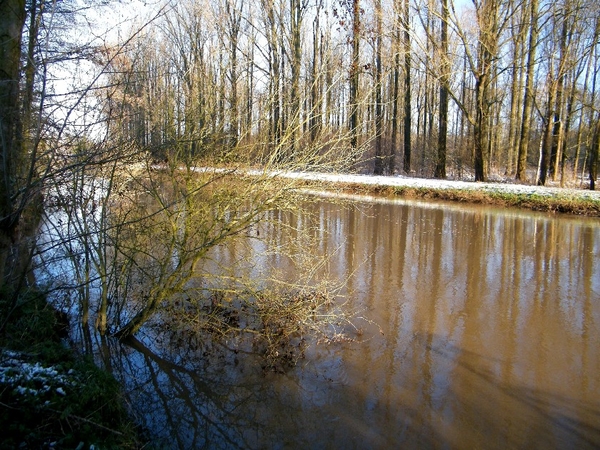 denderleeuw wellemeersen