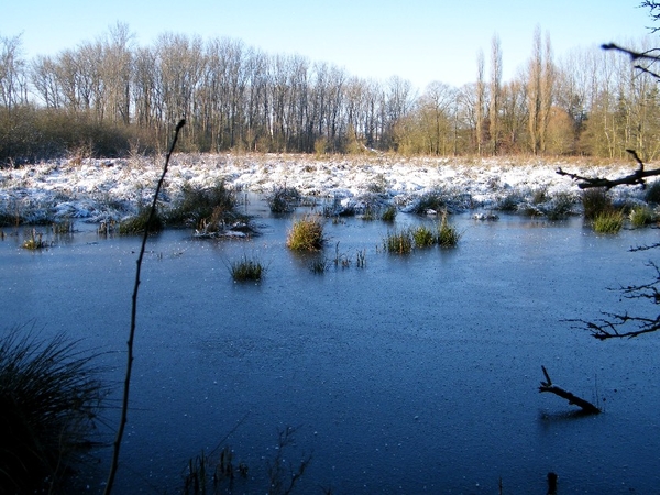 denderleeuw wellemeersen