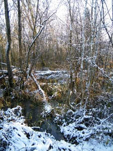 2014_12_28 Denderleeuw 32