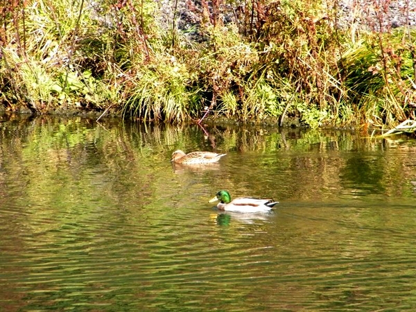 Rivertours