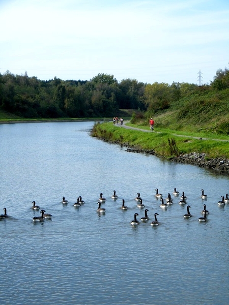 Rivertours