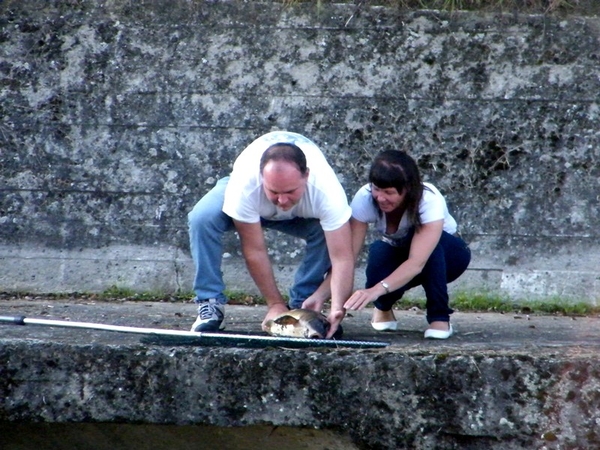 Rivertours