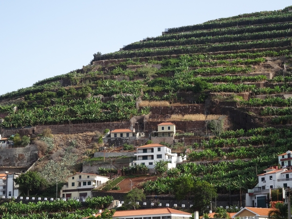 1a Westtour, Camara de Lobos _DSC00010