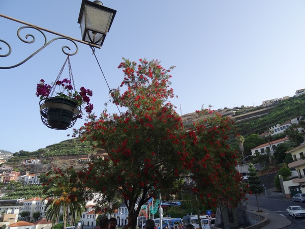 1a Westtour, Camara de Lobos _DSC00012