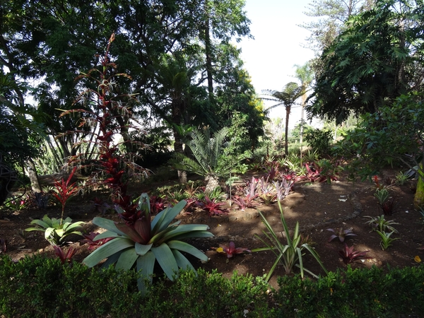 2b Funchal, botanische tuin _DSC00154