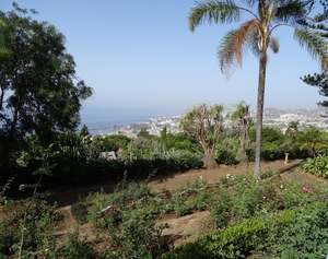 2b Funchal, botanische tuin _DSC00158