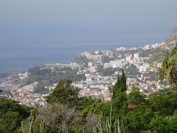 2b Funchal, botanische tuin _DSC00159