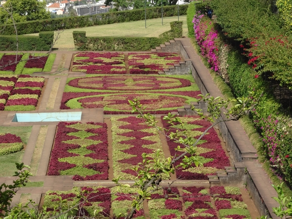 2b Funchal, botanische tuin _DSC00162