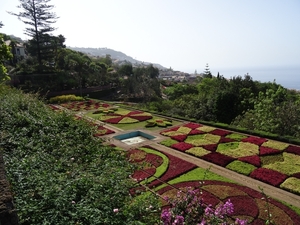 2b Funchal, botanische tuin _DSC00172