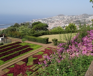 2b Funchal, botanische tuin _DSC00174