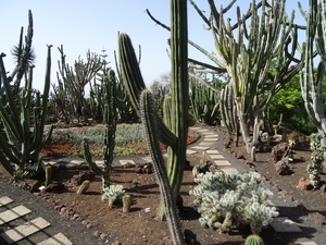 2b Funchal, botanische tuin _DSC00188