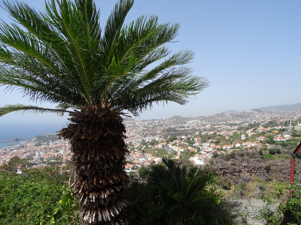 2c Funchal, orchideeen tuin _DSC00225