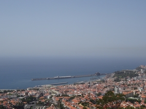 2c Funchal, orchideeen tuin _DSC00226