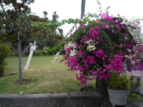 3W2 Funchal, _P1220249