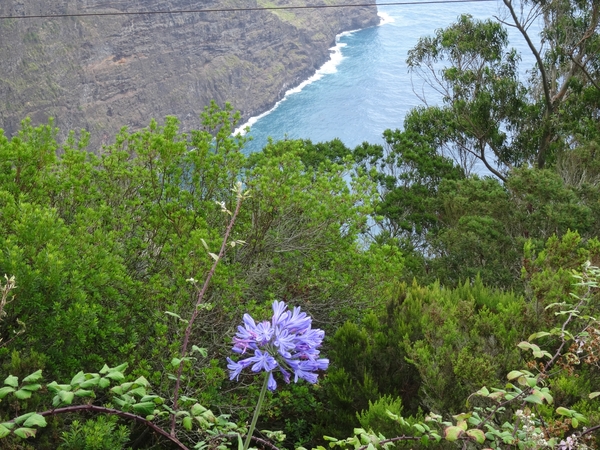 5d Oosttour, Faial _DSC00434