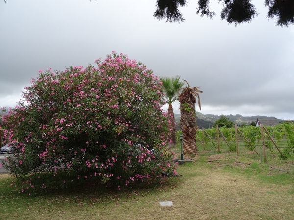 5g Oosttour, Santana, kustlijn _DSC00458