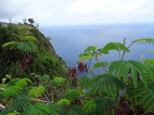 5g Oosttour, Santana, kustlijn _DSC00460