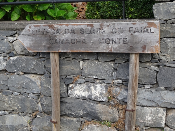 6b Camacha, levada wandeling _DSC00533