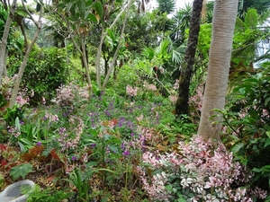 6c Monte palace tropical garden _DSC00579
