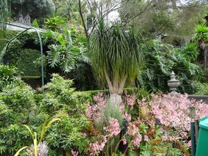 6c Monte palace tropical garden _DSC00582